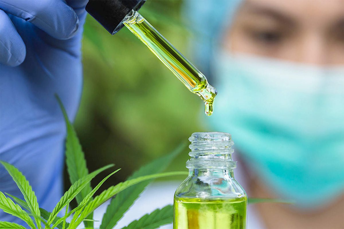 Cannabis medicinal é tema de audiência na Ales