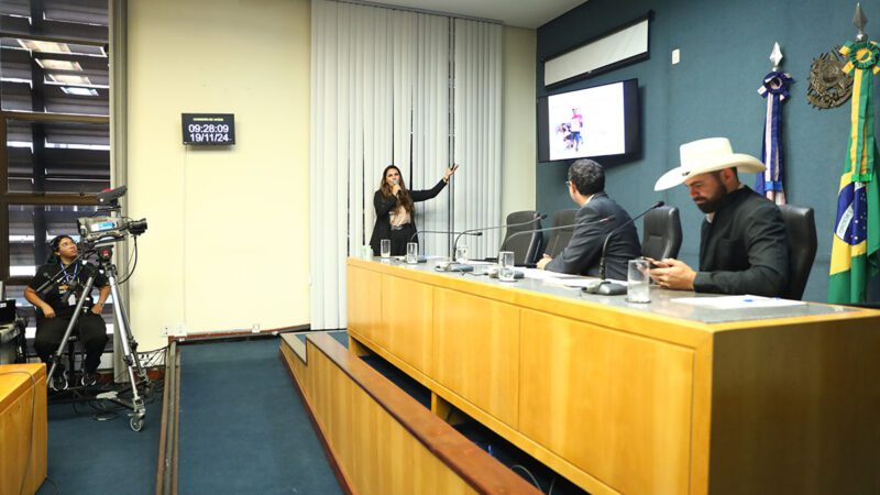 Saúde debate situação do Hospital de São Mateus